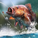 //imgs.7wapp.com/7wapp/12/57153-202410311219036723053714f2c.png