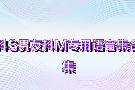 抖S男友抖M专用语音集合集
