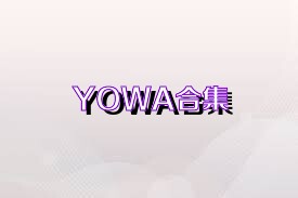 YOWA合集