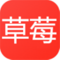 草莓免费短剧app官方最新版